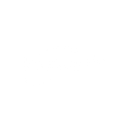 Vecteur +