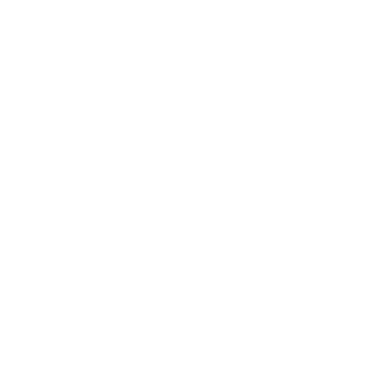 Schmidt