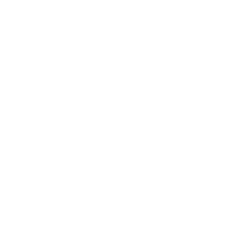 Vecteur +