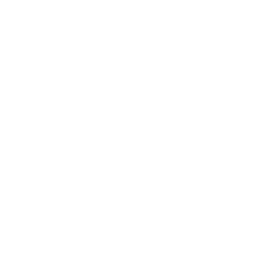 Schmidt